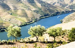 Covas do Douro, Sabrosa, Vila Real District