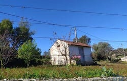 Alcobaça, Leiria 2460-742