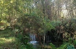 Leiria, Leiria District
