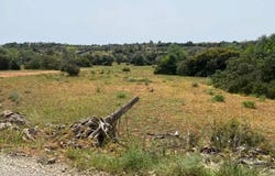 Olhão, Algarve 8700-132