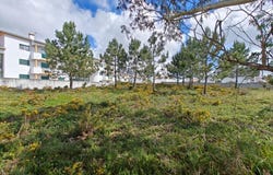 Foz Do Arelho, Leiria 2500