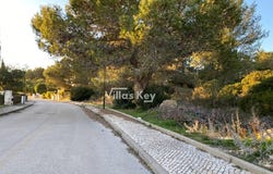 Budens, Algarve 8650