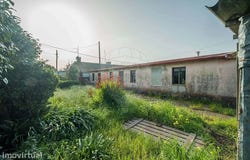 Murtosa, Aveiro District