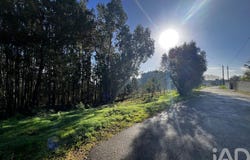 Aveiro, Aveiro District
