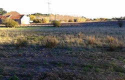 Arruda dos Vinhos, Lisbon