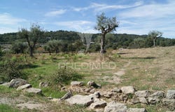 Reguengo e São Julião, Portalegre, Portalegre District 7300-126