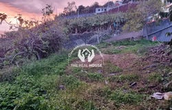 Ribeira Brava, Madeira