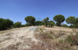 Mora, Évora 7490