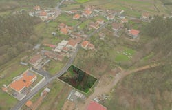 Oliveira, Braga