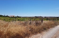 Vila Nova de Cacela, Algarve