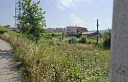 Trofa, Porto District