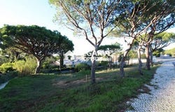 Almancil, Faro