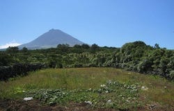 Ilha do Pico, Azores
