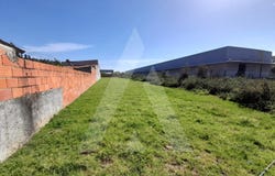 Cacia, Aveiro District