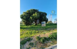 Montenegro, Algarve 8005