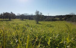 Santarém, Santarém District