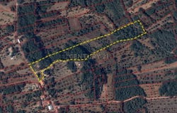 Chãos, Santarém District