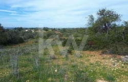 Albufeira e Olhos de Água, Algarve