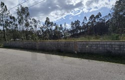 ROMARIZ, Aveiro District