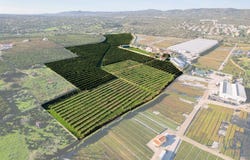 Quelfes, Algarve 8700