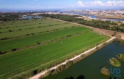 Ílhavo, Aveiro 3830-012