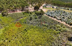 Aljezur, Algarve 8670