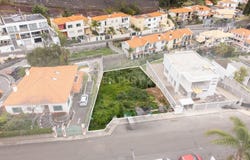 Ilha da Madeira, Madeira