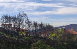 Baião, Porto District