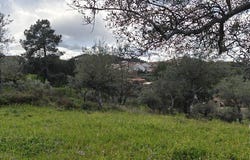 Castelo Branco, Castelo Branco District