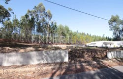 77 R. dos Moinhos, Santarém, Santarém District 2490