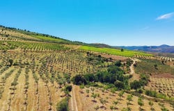 Poiares, Bragança 5180