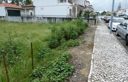 Condeixa-a-Nova, Coimbra District