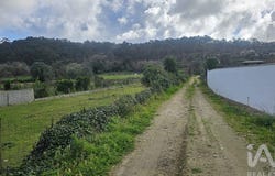 Braga, Braga
