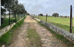 Santo Aleixo, Portalegre District