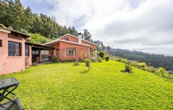 Canhas, Madeira 9360