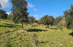 Aljustrel, Beja District 7600-301