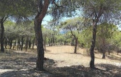 Almancil, FARO