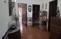 Alpiarça, Alpiarça, Santarém District 2090