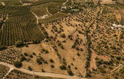 Silves, Algarve