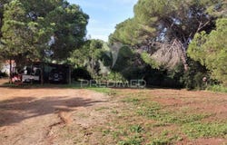 Santiago do Cacém, Santa Cruz e São Bartolomeu da Serra, Santiago do Cacém, Setubal 7540