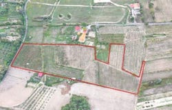 Castelo Branco, Castelo Branco District