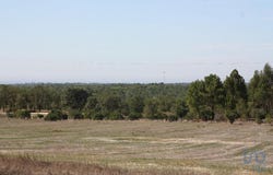 Grândola e Santa Margarida da Serra, Setúbal 7570