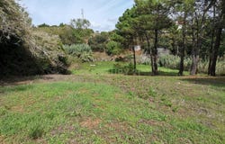 São Martinho do Porto, Leiria District