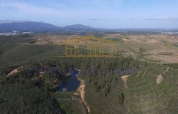 Portimão, Faro