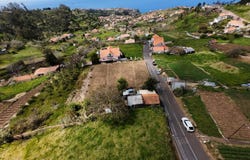 Canhas, Madeira 9360