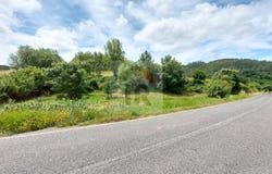 Caldas da Rainha, Leiria District