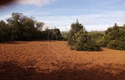 São Sebastião, Algarve