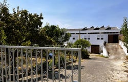Riachos, Torres Novas, Santarém District 2350