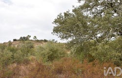 Santarém, Santarém District