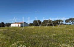 Messejana, Beja District